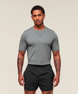 Gymshark Lightweight Seamless Tshirt in Smokey Grey