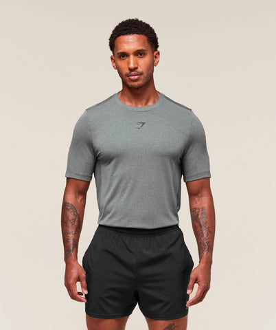 Gymshark Lightweight Seamless Tshirt in Smokey Grey