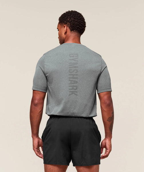 Gymshark Lightweight Seamless Tshirt in Smokey Grey