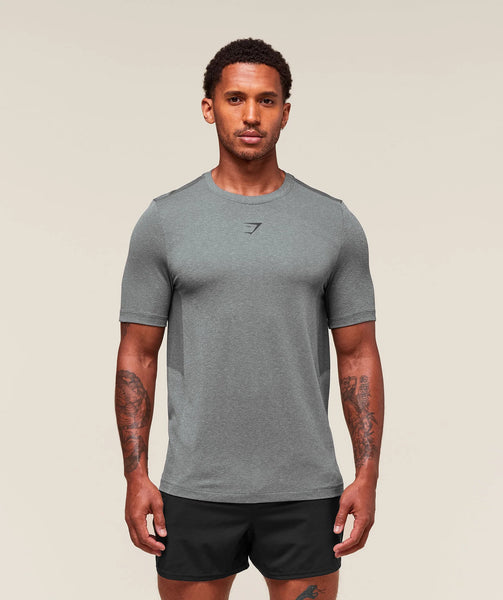 Gymshark Lightweight Seamless Tshirt in Smokey Grey