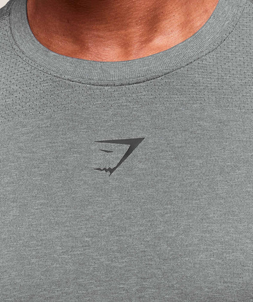 Gymshark Lightweight Seamless Tshirt in Smokey Grey