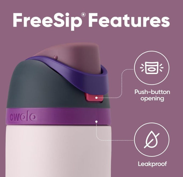 Owala FreeSip Insulated Stainless Steel Water Bottle with Straw for Sports, 24 oz, in Dreamy Field