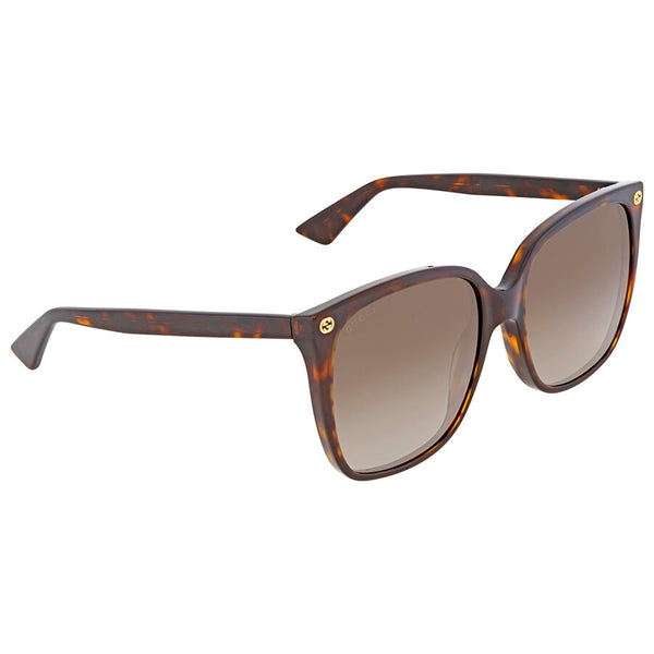 Gucci Brown Cat Eye Ladies Sunglasses
